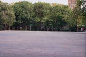 tompkins_square_park_tomorrows_new_happiness_2011